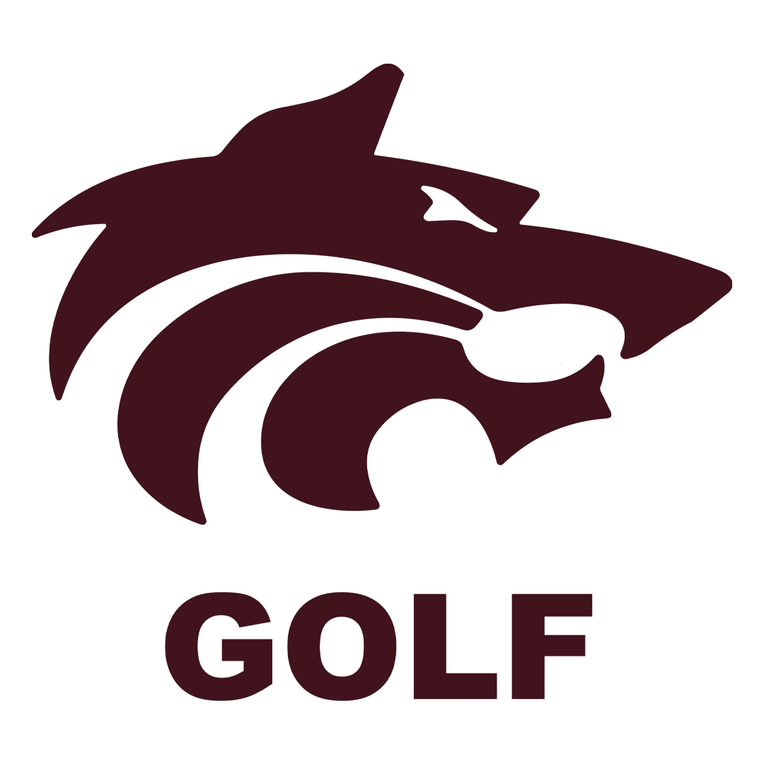 CHS Golf Team
